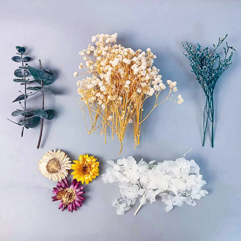 Ensemble de fleurs séchées mul - Embellish Craft avis et prix